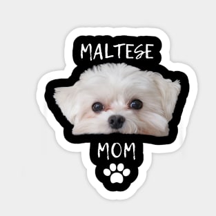 Cute T-shirt for mom of a Maltese Sticker